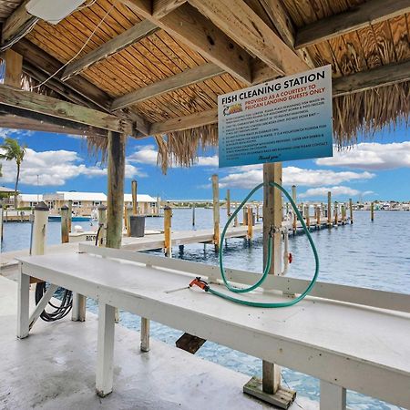 St Kitts - Downtown Waterfront Penthouse Pool Dock Parking Villa Key West Luaran gambar